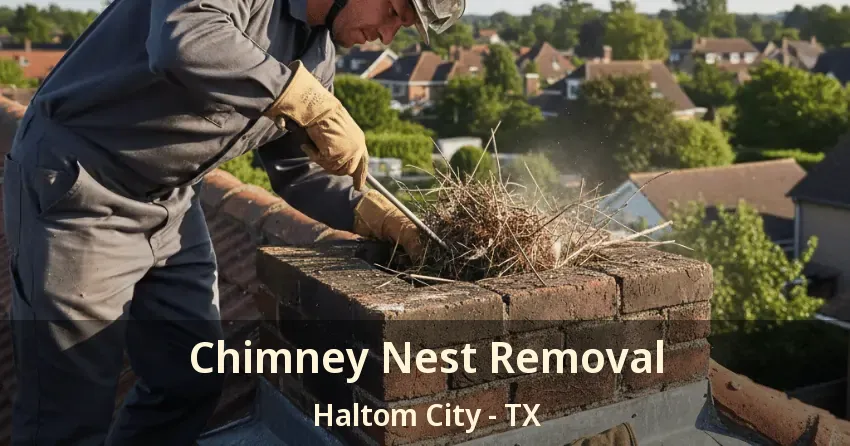 Chimney Nest Removal Haltom City - TX