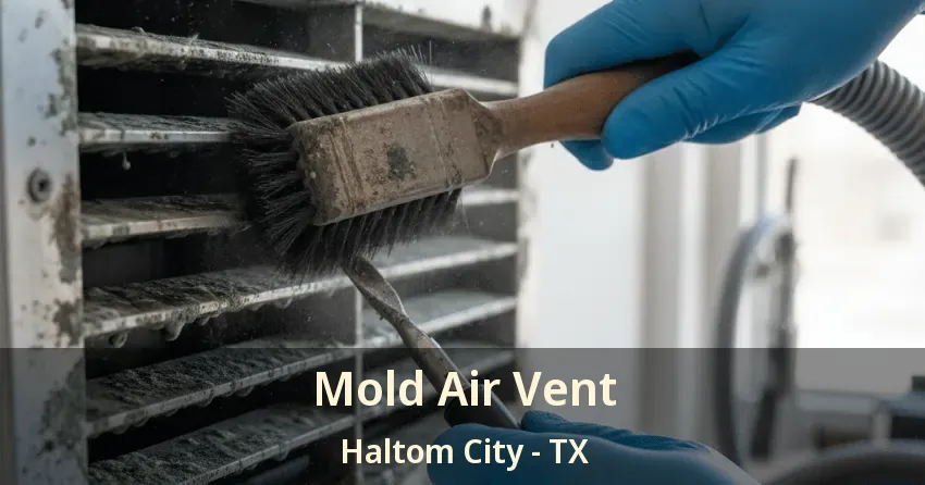 Mold Air Vent Haltom City - TX