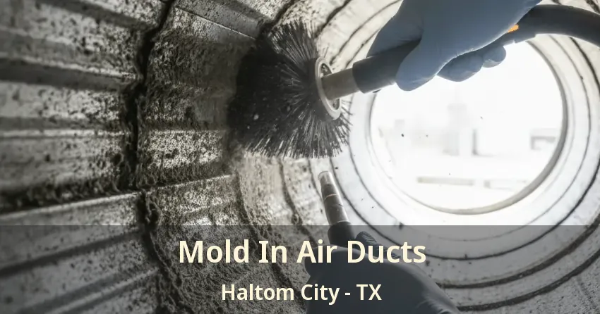Mold In Air Ducts Haltom City - TX