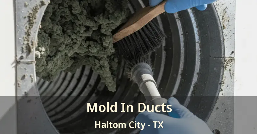 Mold In Ducts Haltom City - TX Mold In Ducts Haltom City - TX