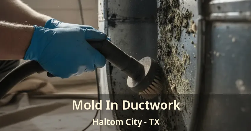 Mold In Ductwork Haltom City - TX
