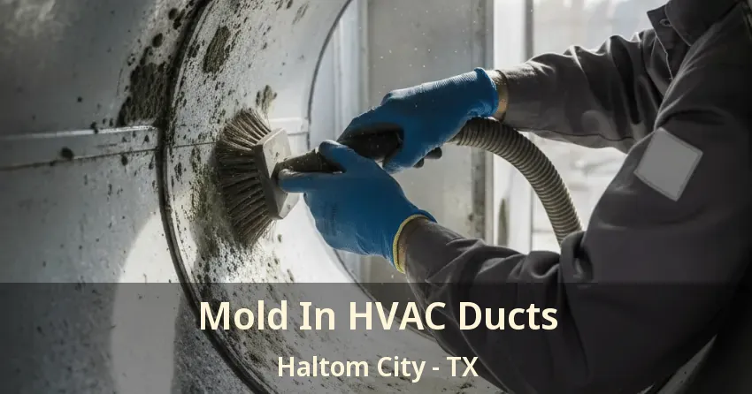 Mold In HVAC Ducts Haltom City - TX