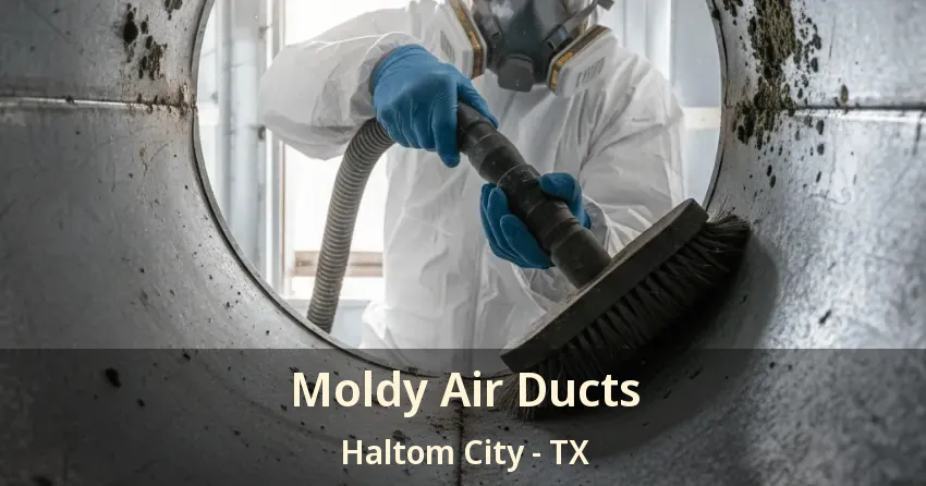 Moldy Air Ducts Haltom City - TX